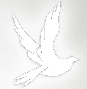 DOVE 300