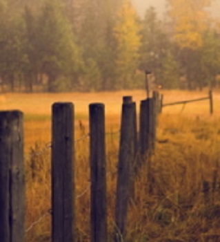 FENCE 350