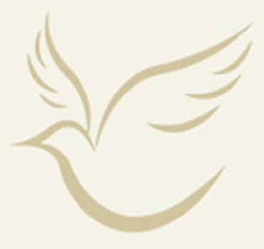 DOVE Walkers 350