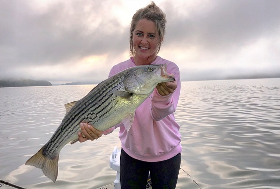 Cumberland striped bass