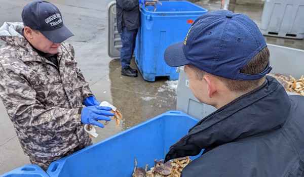 Undersized crab case OR 600