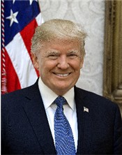 President Trump Official Portrait 175