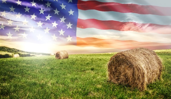 Farm field USA flag 600