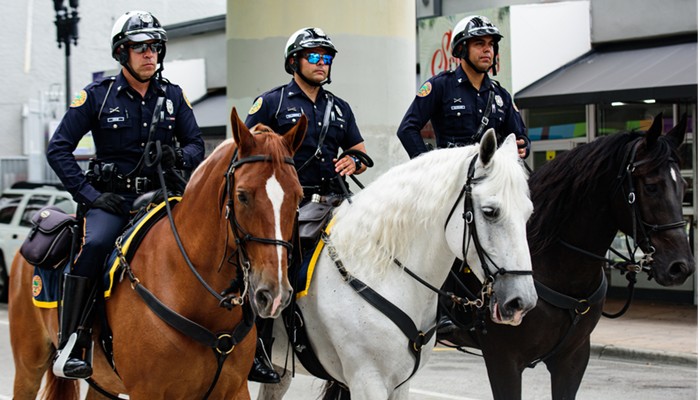 ClayCoNews - Online Criminal Justice Program at a University in Southern Kentucky Ranked No.1 in State - Police Officers