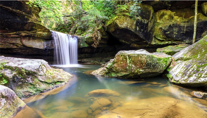 Dog Slaughter Falls KY 700