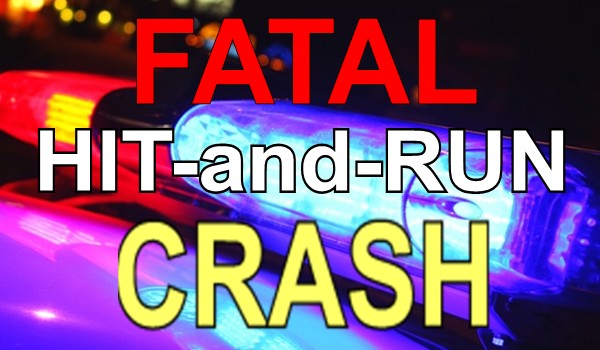 Fatal HIT and Run 600