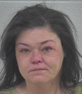images3/Mugshots/Ashley_Lewis_350.jpg-clayconews.com