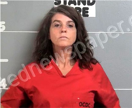 BILLIE SMITH 2024 06 09 Ohio County Kentucky Booking