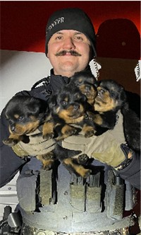Trooper with rescued puppies 11 28 23