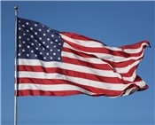 United States Flag 175